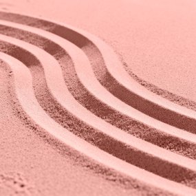 Sable fin rose vintage