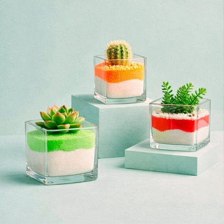 Arena de grano fino lima neón en maceta 6