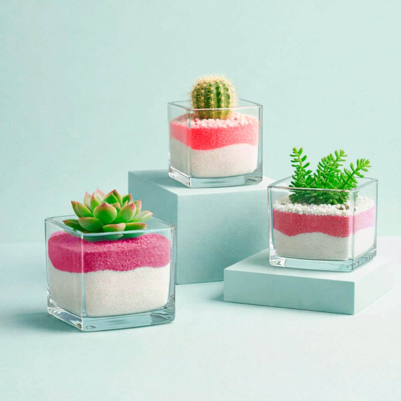 Arena de grano fino cereza en maceta 6