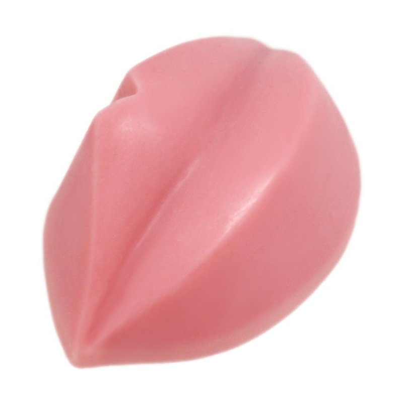 Forma de silicone de lábios