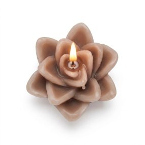 Moisissure florale flottante