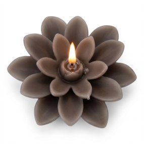 Moules pour bougies flottantes en fleurs de lotus