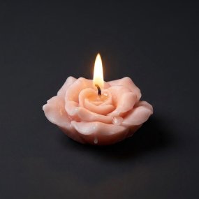 Molde para velas 6 Rosinhas Deluxe