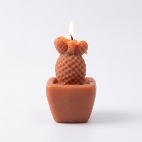 Moule pour bougies de cactus opuntia