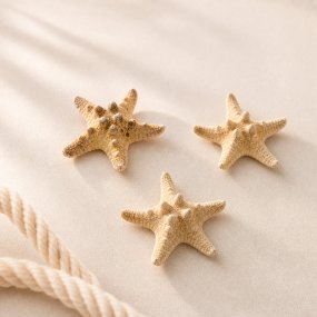 Estrella de mar horn 5-6 cm