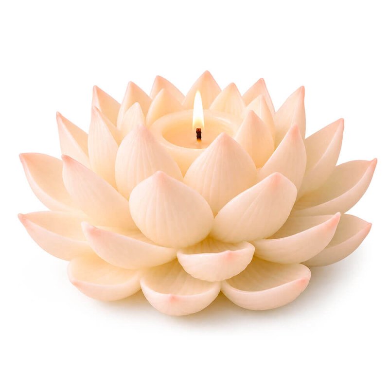 Molde para velas flotantes nenúfar 2
