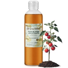 Purín de ortiga para el huerto