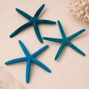 Étoile de mer finger turquoise 12-13 cm