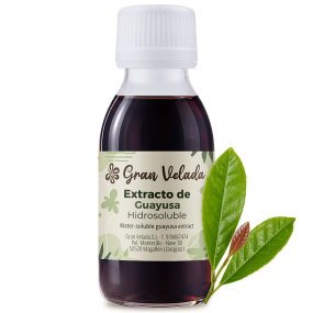 Extrait de guayusa hydrosoluble