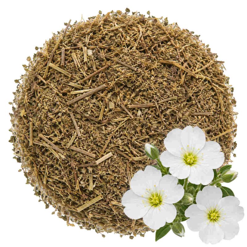 Muestra arenaria cortada