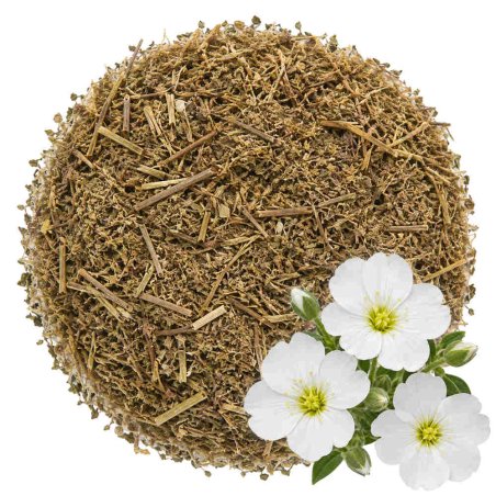Muestra arenaria cortada