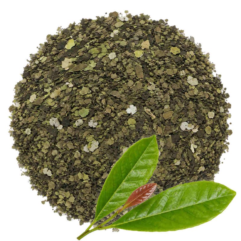 Muestra guayusa planta cortada