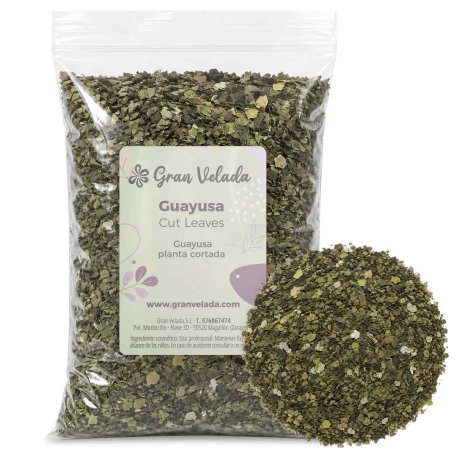 Guayusa planta cortada