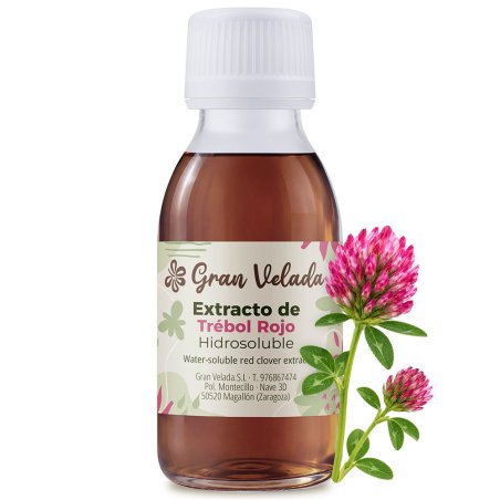 Extracto de trébol rojo hidrosoluble