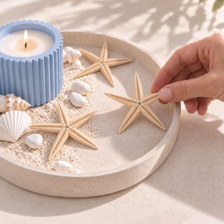 Estrella de mar filipina 6-8 cm para centros marineros