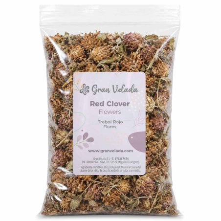 Comprar trebol rojo flores