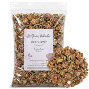 Trebol rojo flores
