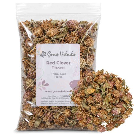 Trebol rojo flores
