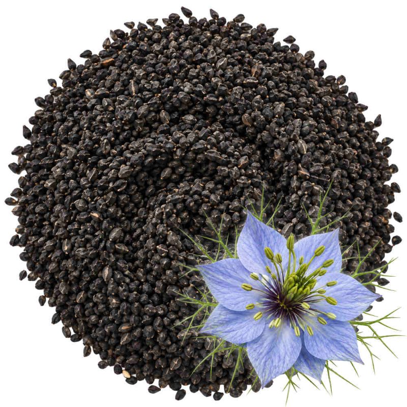 Cumin noir graines
