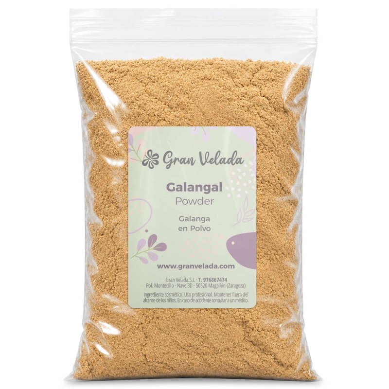 Galanga en poudre