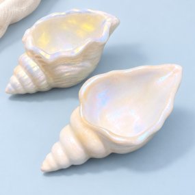 Moule coquillage marin récipient pour bougies