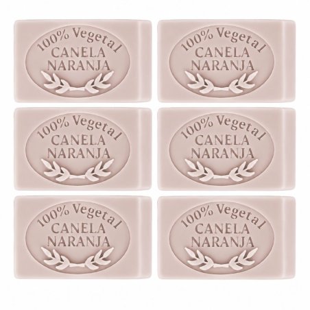 Molde jabon canela naranja — seis pastillas de jabón