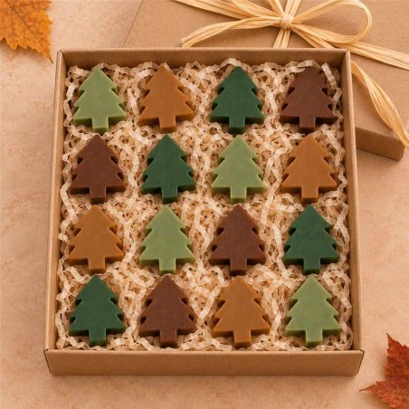 Sapins en cire verts et bruns dans une boîte cadeau garnie de papier