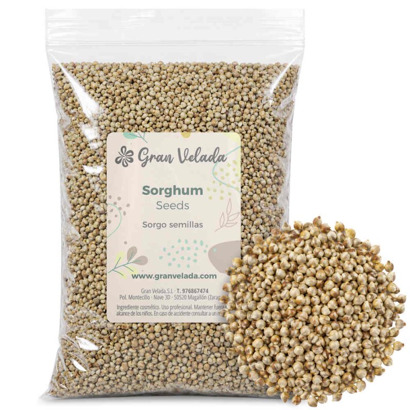 Bolsa de semillas de sorgo con una muestra de semillas al lado