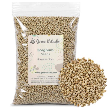 Saco de sementes de sorgo com uma amostra de sementes ao lado
