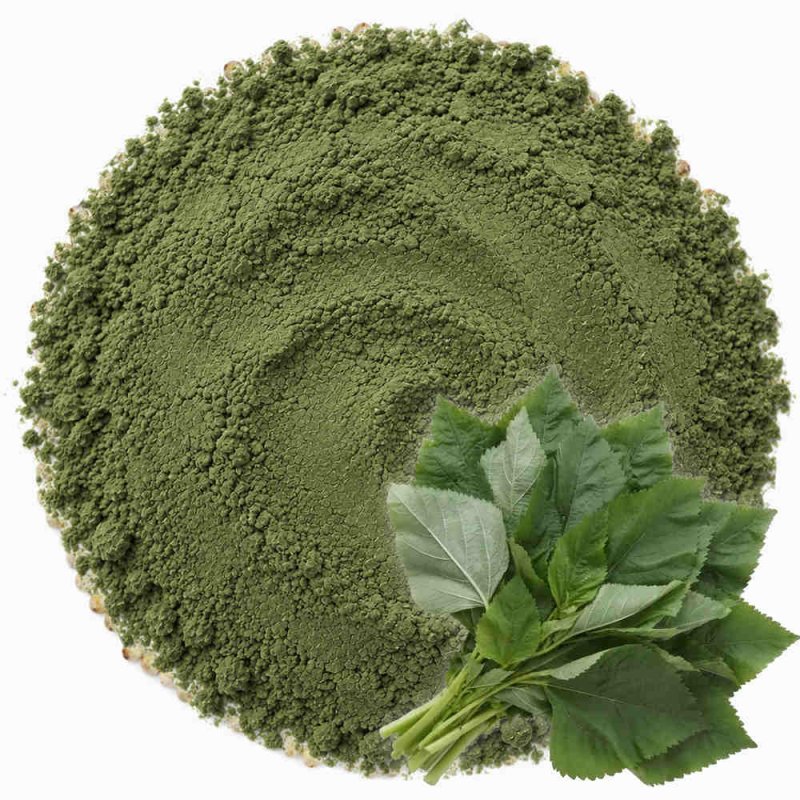 Détail de molokhia en poudre avec des feuilles vertes