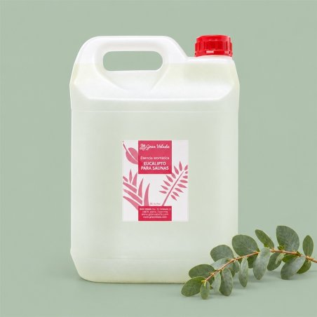 Esencia de eucalipto para sauna en garrafa con tapon rojo sobre fondo verde y ramas de eucalipto