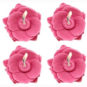 Molde para Velas, 4 Papoilas Orientais.