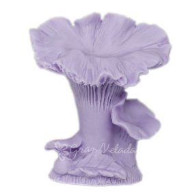 Moule à champignons sauvages pour l’artisanat