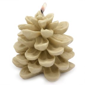 Grande moisissure d’ananas sauvage