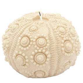 Molde erizo de mar para velas Molde erizo de mar para velas