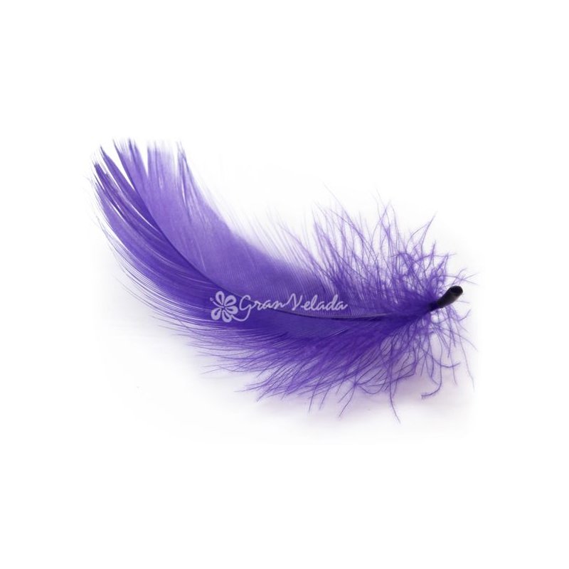 Plumas violeta de marabu