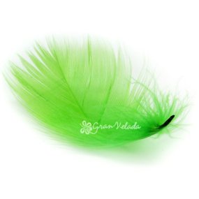 Penas de marabu cor verde Penas de marabu cor verde