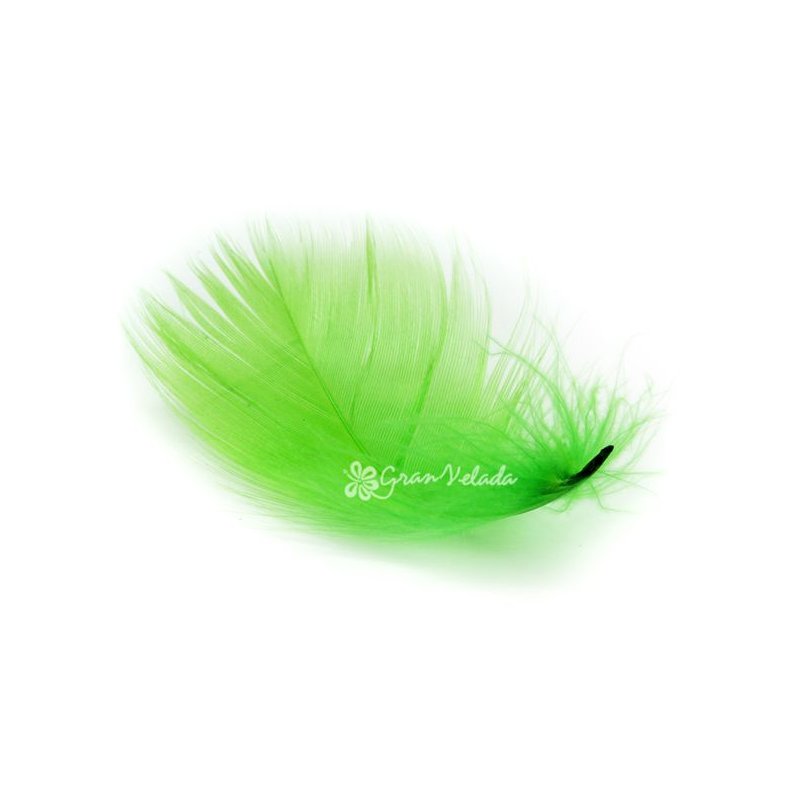 Pena de cor verde