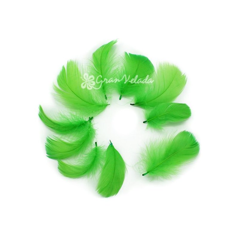 Penas Decorativas verde
