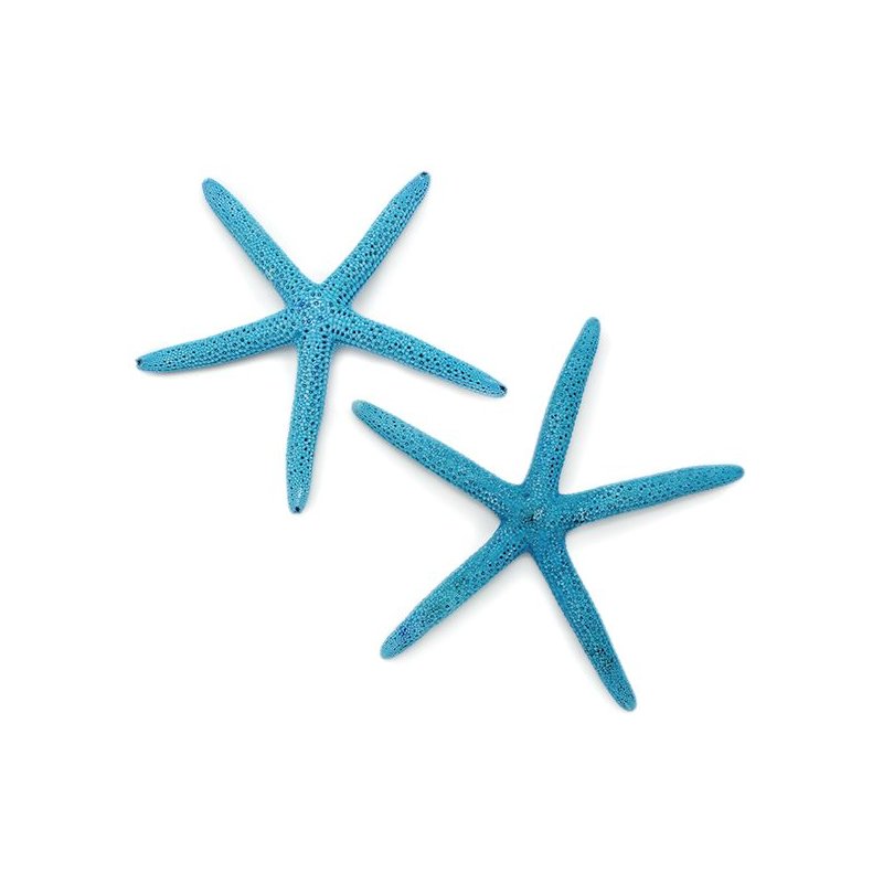 Estrelas naturais tingidas de azuis 