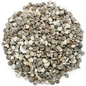 Mini Obba Natica Coques noires 1 kg Mini Obba Natica Coques noires 1 kg