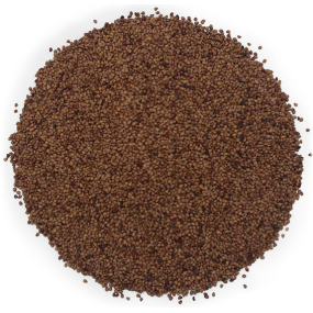 Sementes esfoliantes de morango 1000 microns Sementes esfoliantes de morango 1000 microns