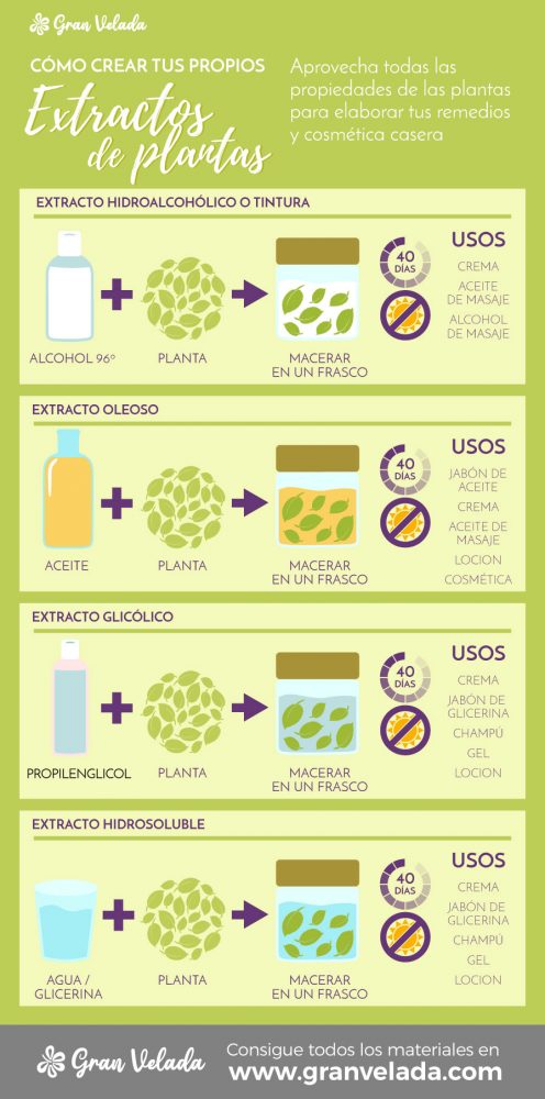 Extractos vegetales: qué tipos hay, diferencias y cómo se usan
