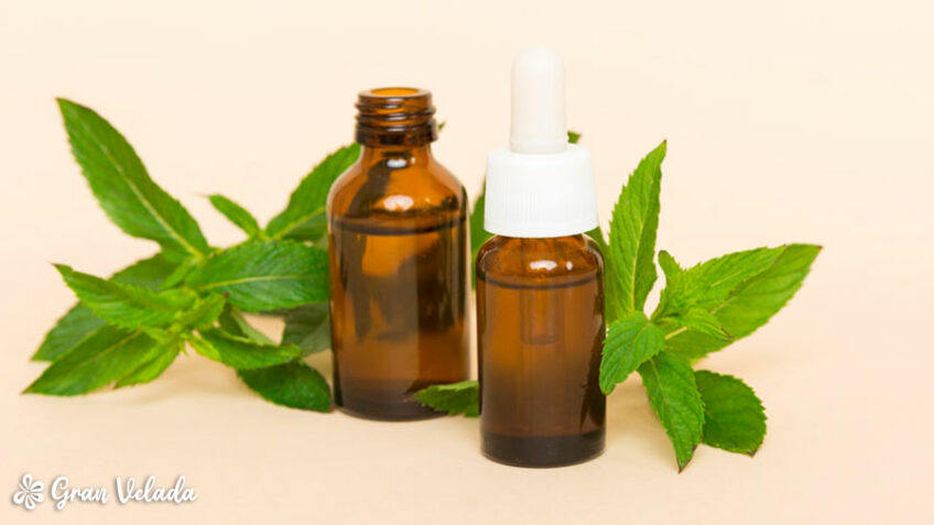 Propiedades del aceite esencial de menta en cosmética y aromaterapia