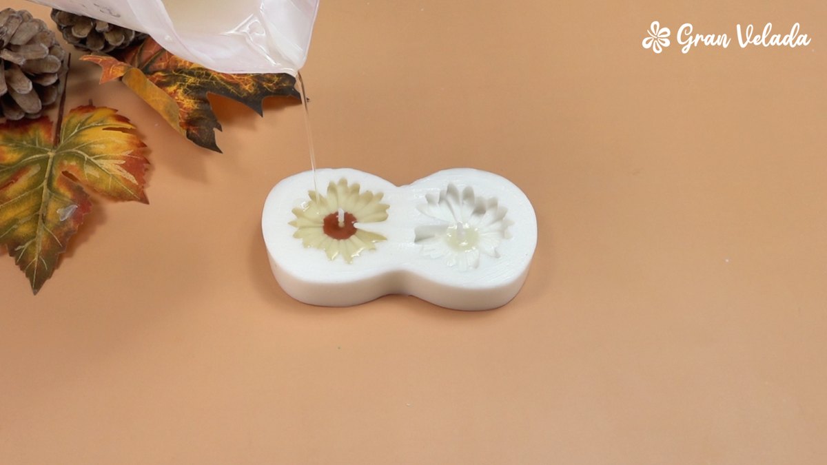Pétalos crema alrededor del centro marrón