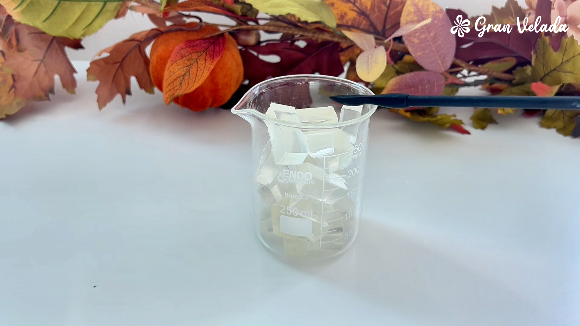 Dados de base transparente preparados para fundir la cobertura