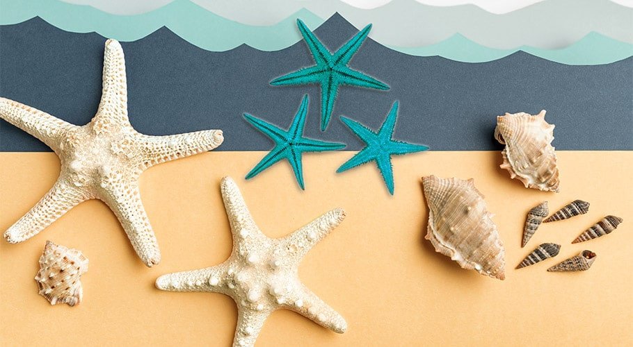 Diycuadros realizados con conchas y estrellas de mar