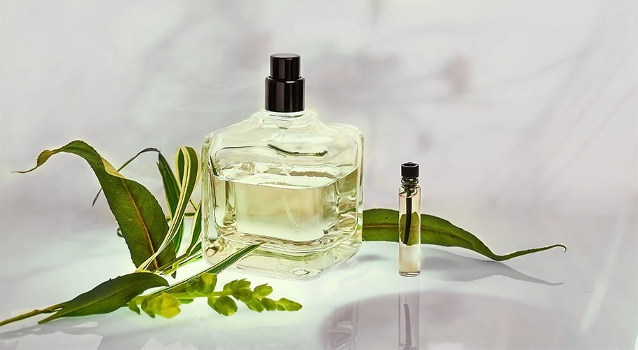 Essences aromatiques vertes à base de plantes pour faire du savon à la glycérine