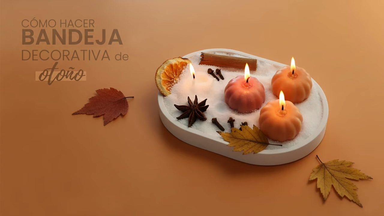 Molde bandeja ovalada